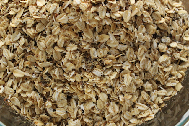 Toasted Oatmeal with Flax and Chia Seeds
