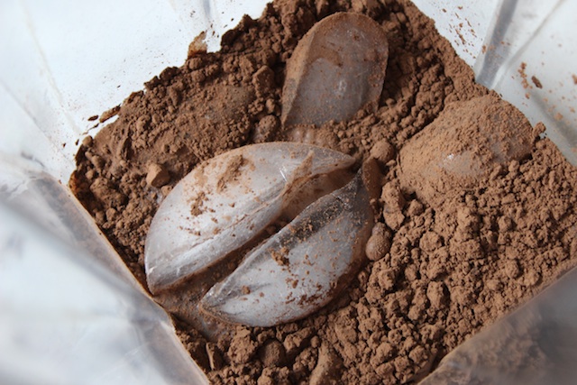 Cocoa Powder and Ice in the Blender for Chocolate Milk