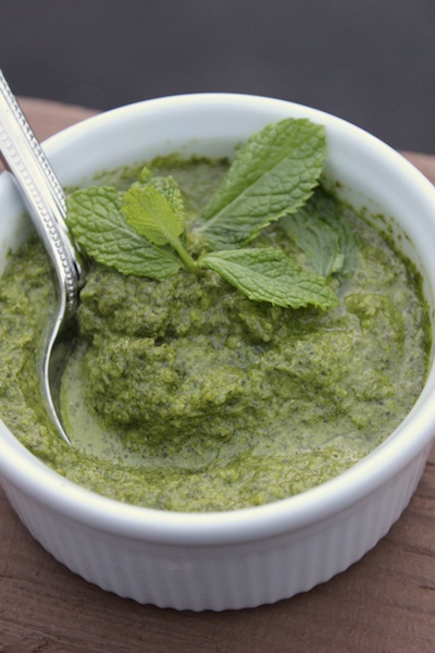 Mint and Coconut Chutneys Tasty Oasis