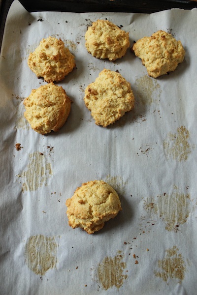 Doris Greenspan's Maple-Cornmeal Drop BiscuitMaple-Cornmeal Drop Biscuits from Dorie Greenspan are quick and easy to make, and would be perfect for breakfast, afternoon tea, or in your bread basket next time you have company for dinner. | www.tastyoasis.net