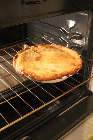 Donna Hay's Beef, Guinness and Mushroom Pie with a Hot Water Pastry Crust is a hearty meal that's a perfect weekend project. You can double it, and make an extra pie for your freezer or a friend. The pastry dough is easy to make, stands up to a heavy filling, and is flaky and buttery. It's definitely worth the effort! | www.tastyoasis.net