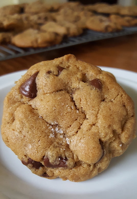 These Chocolate Chip Cookies with Sea Salt are my very favorites, and just barely adapted from Ashley Rodriguez's recipe. They are easy to make, freeze well, chewy and perfectly balanced between sweet and salty, and best when you use dark chocolate. | www.tastyoasis.net